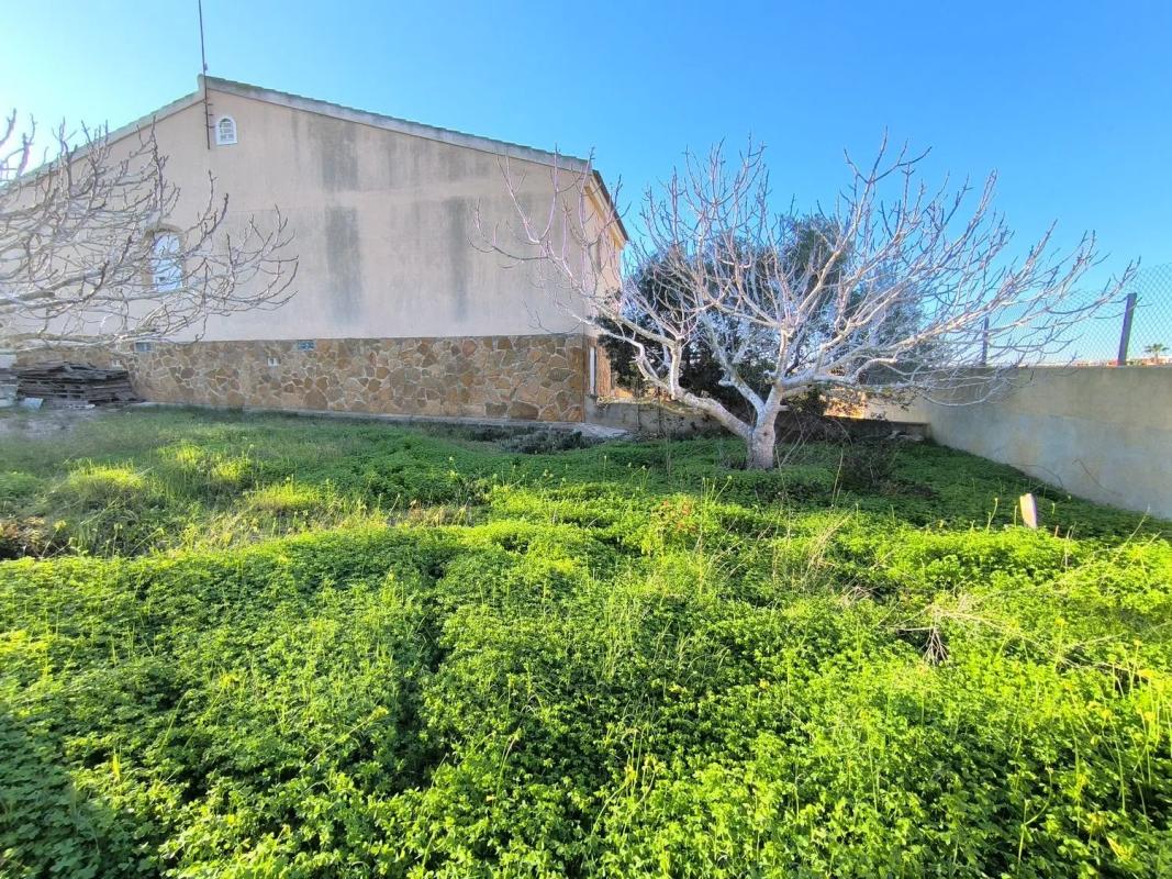 Properties for sale and rent in Spain photo 4