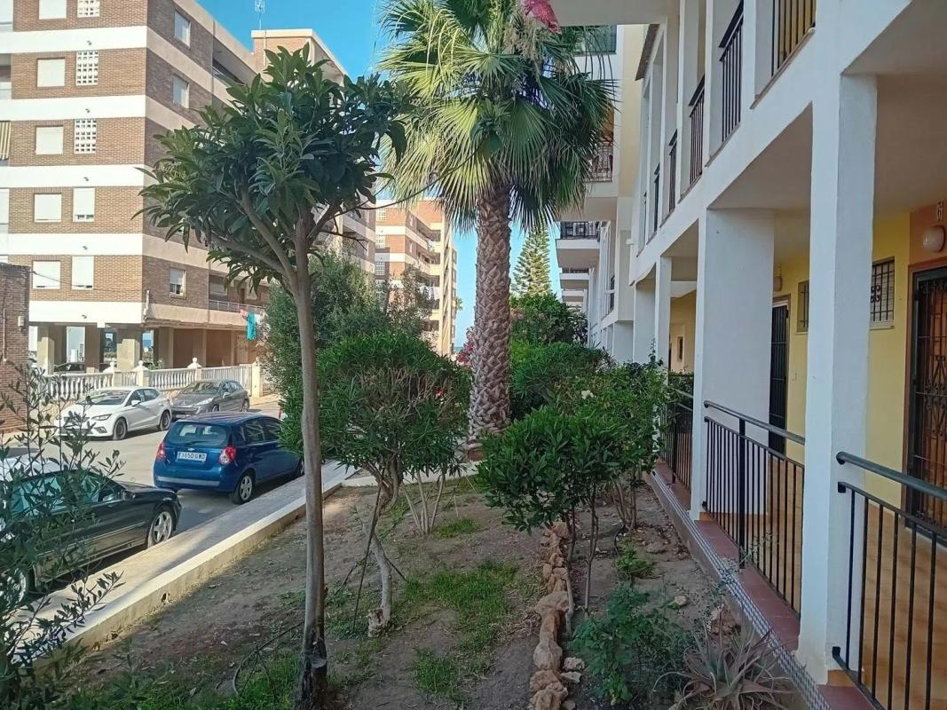 Продажа квартиры на Calle Magallanes, Торревьеха
photo 3