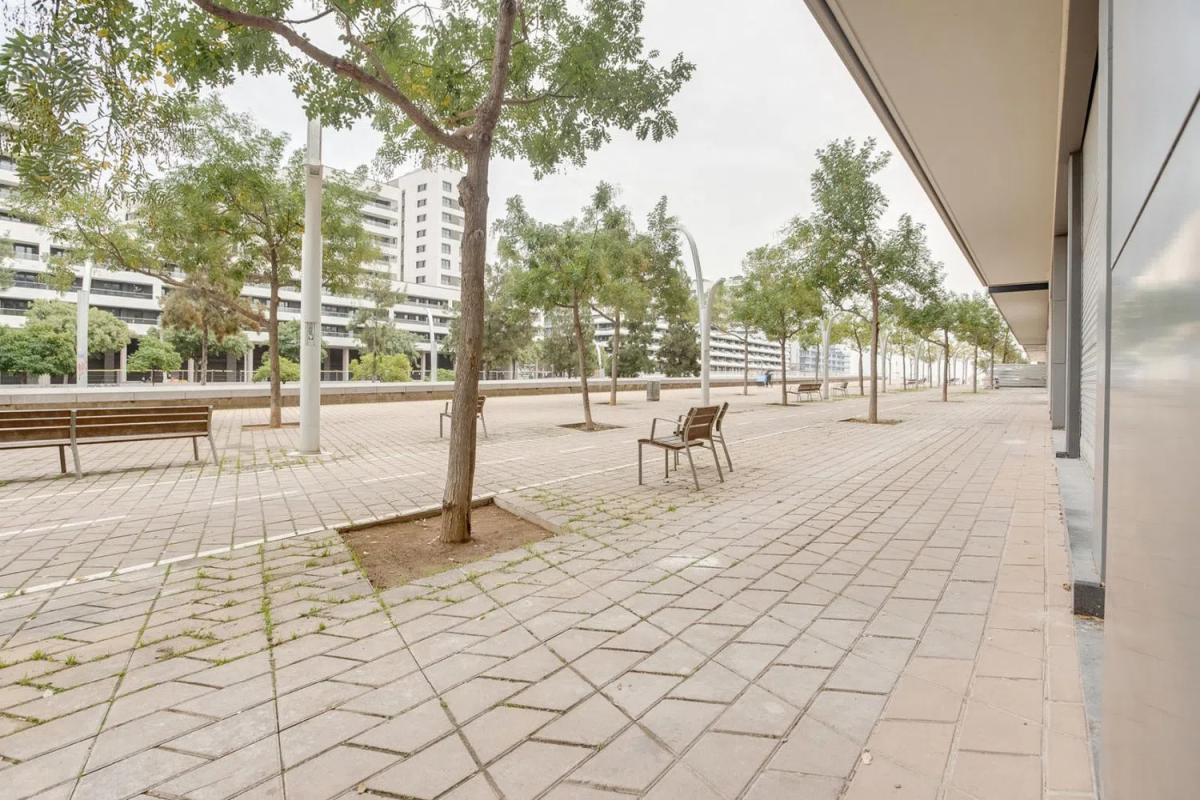 Obra nueva canal Badalona en Badalona (Revista) photo 4