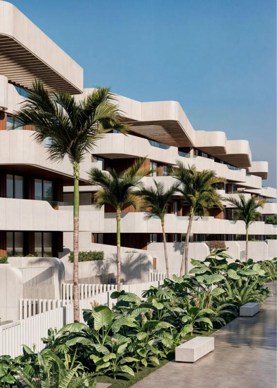 Obra nueva Rembrandt 27 en Oliva (Revista) photo 3