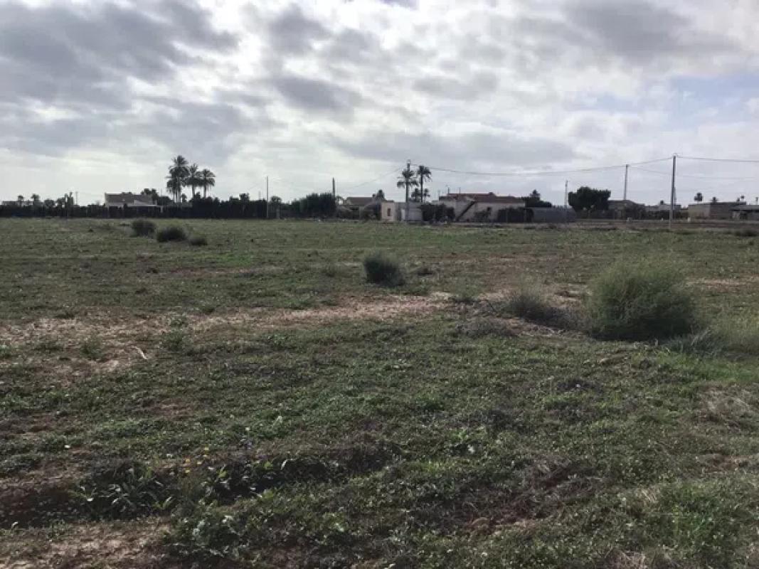 Land for sale in Elche / Elx, Alicante photo 1