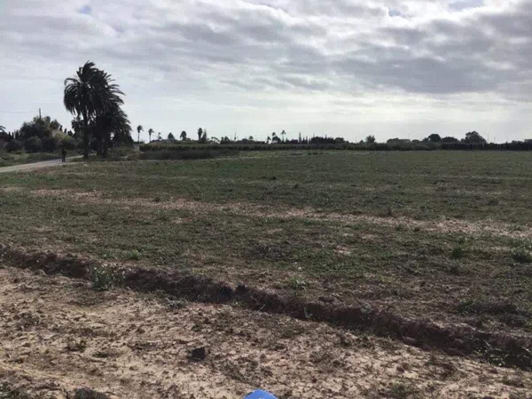 Land for sale in Elche / Elx, Alicante photo 2