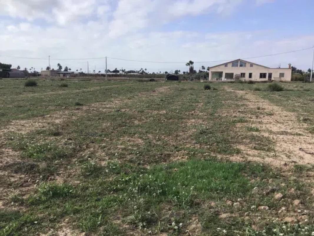 Land for sale in Elche / Elx, Alicante photo 3