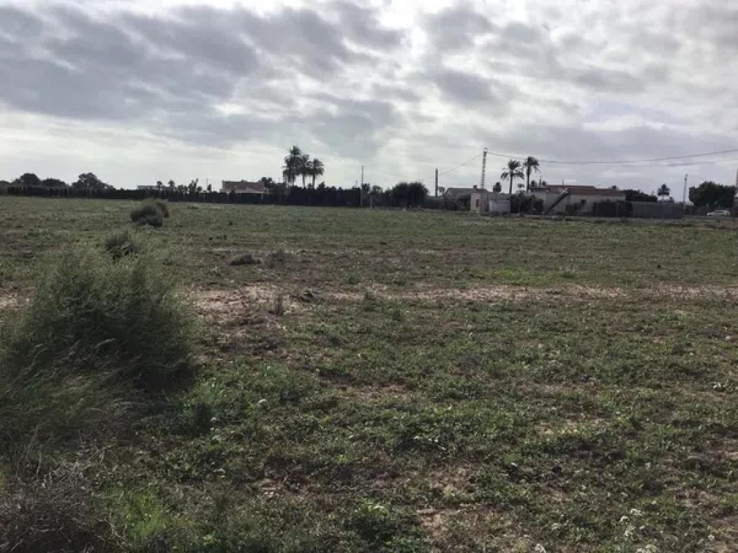 Land for sale in Elche / Elx, Alicante photo 4