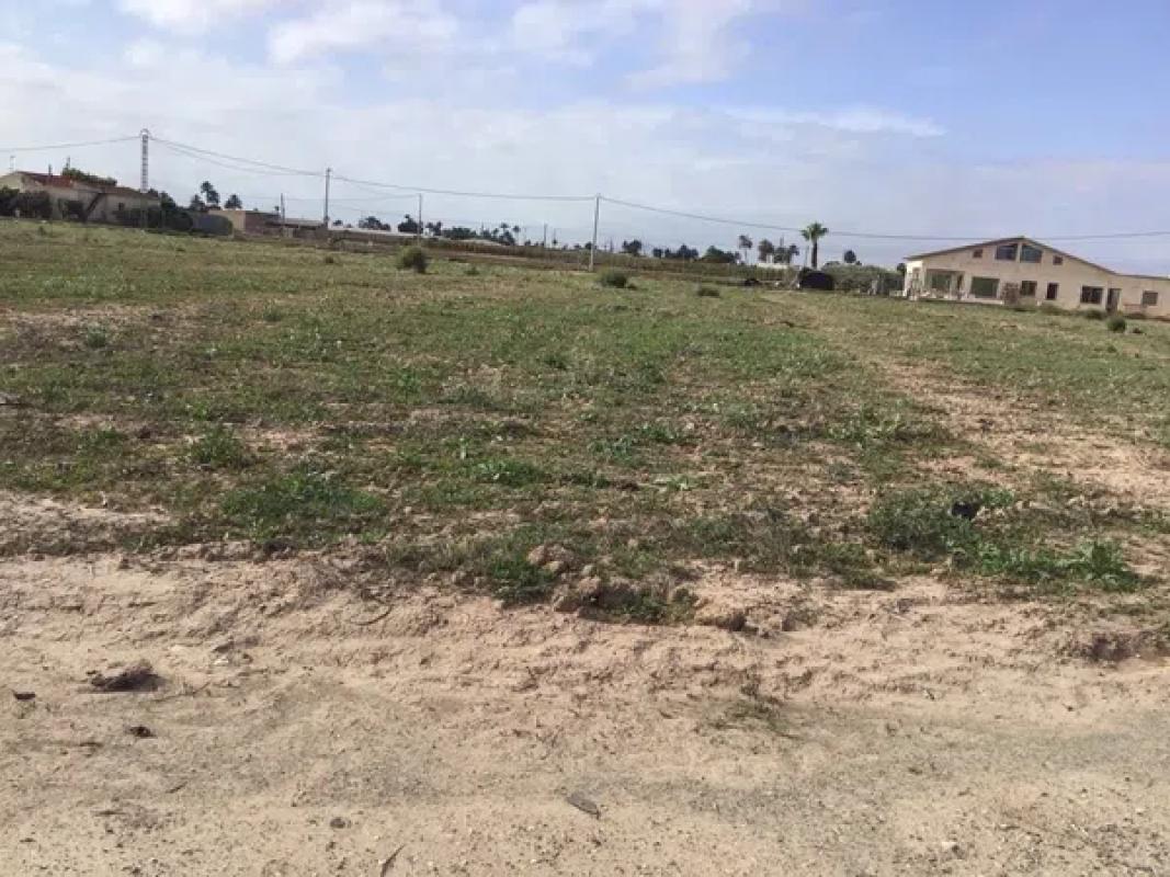 Land for sale in Elche / Elx, Alicante photo 5