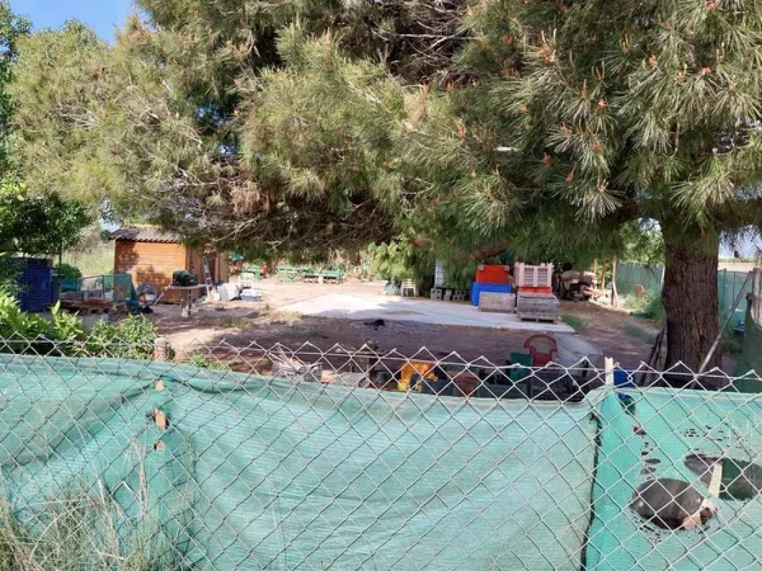 Terreno en venta en Guardamar del Segura, Alicante photo 1