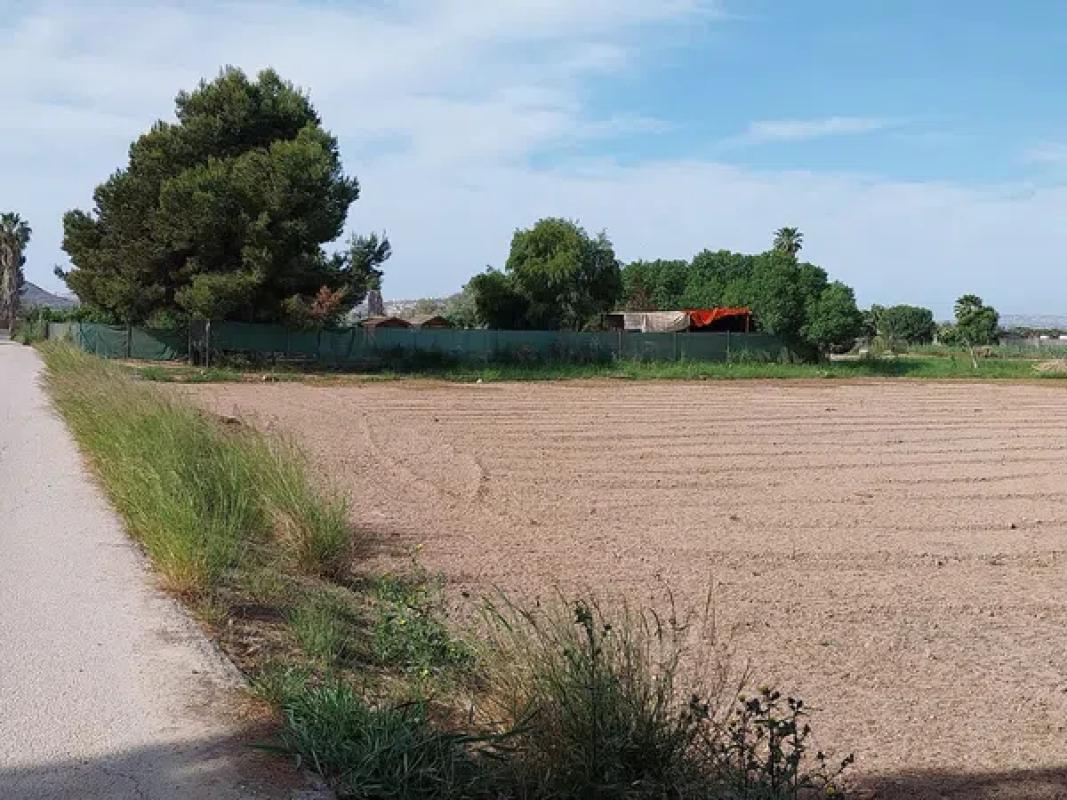 Terreno en venta en Guardamar del Segura, Alicante photo 2