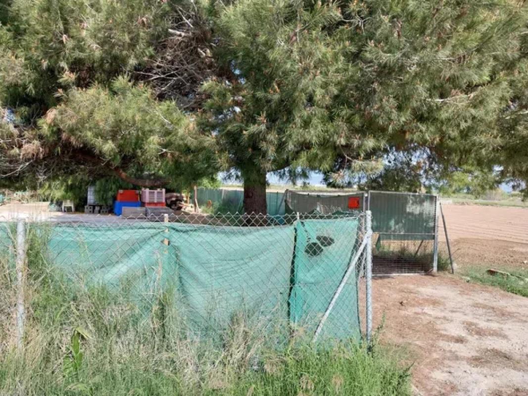 Terreno en venta en Guardamar del Segura, Alicante photo 3