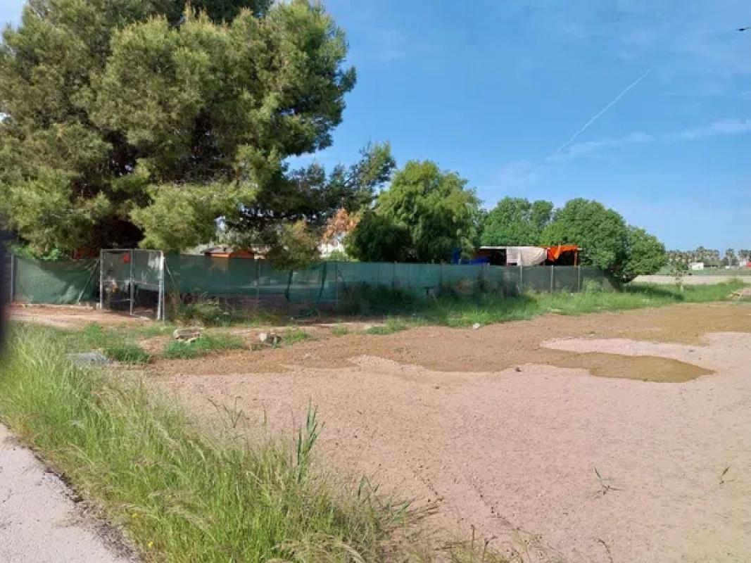 Terreno en venta en Guardamar del Segura, Alicante photo 4