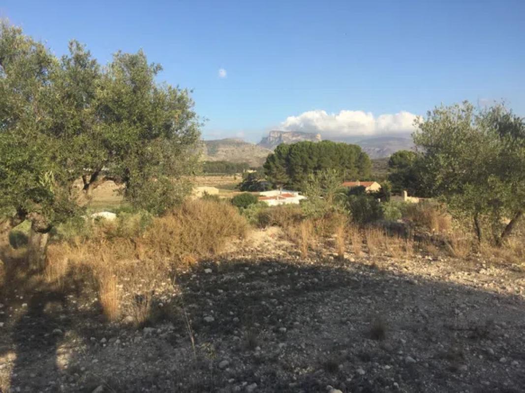 Terreno en venta en Elda, Alicante photo 3