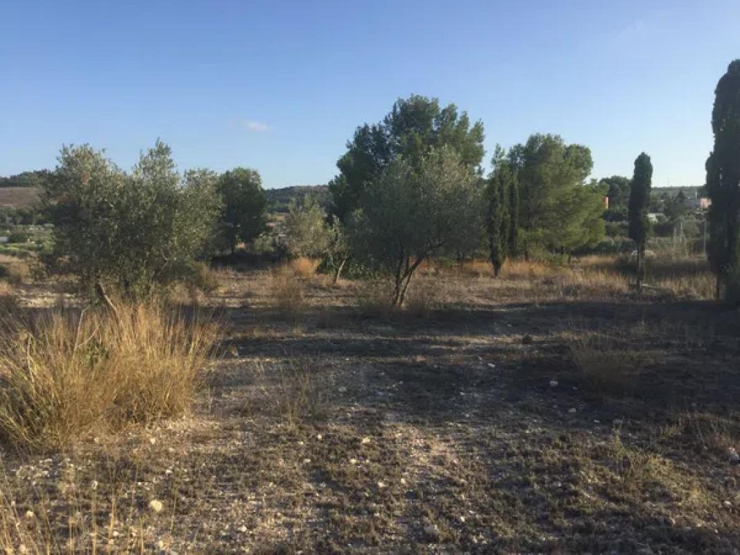Terreno en venta en Elda, Alicante photo 4