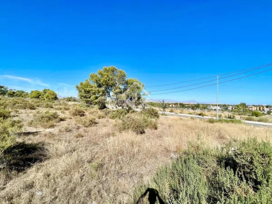 Land for sale in Alicante, Alicante photo 1