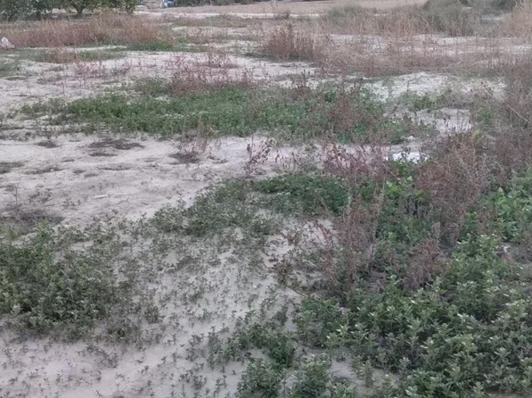 Terreno en venta en Orihuela, Alicante photo 4
