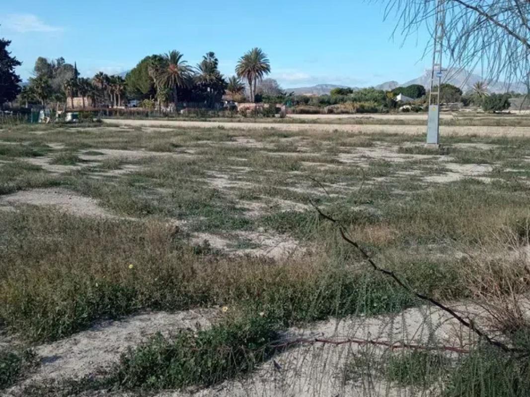 Terreno en venta en Mutxamel, Alicante photo 4