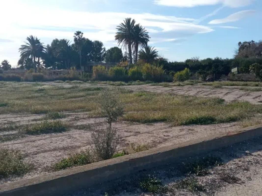 Terreno en venta en Mutxamel, Alicante photo 5