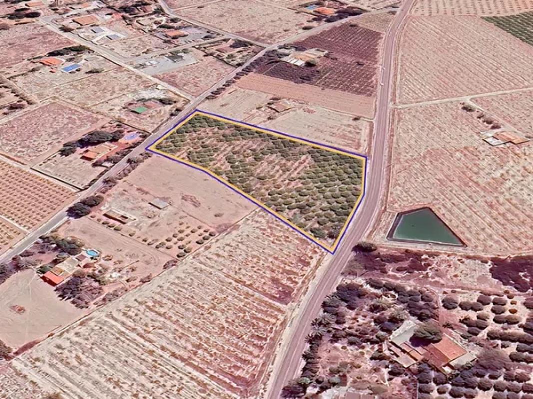 Terreno en venta en Elche / Elx, Alicante photo 2
