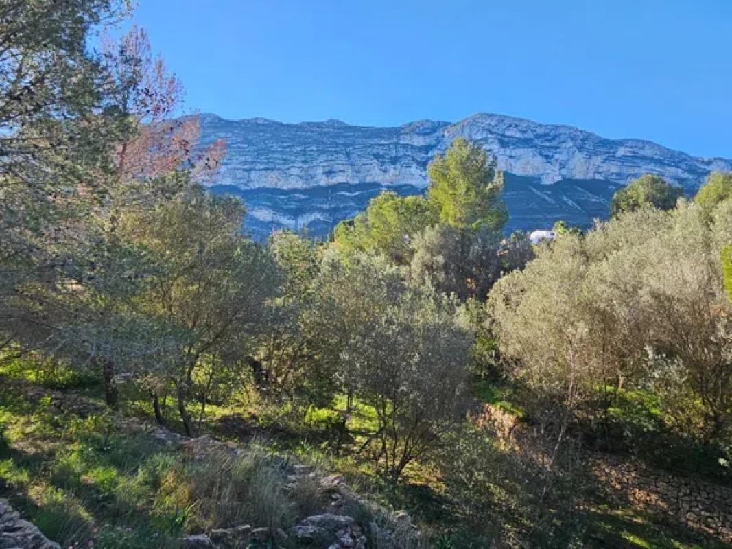 Terreno en venta en Denia, Alicante photo 3