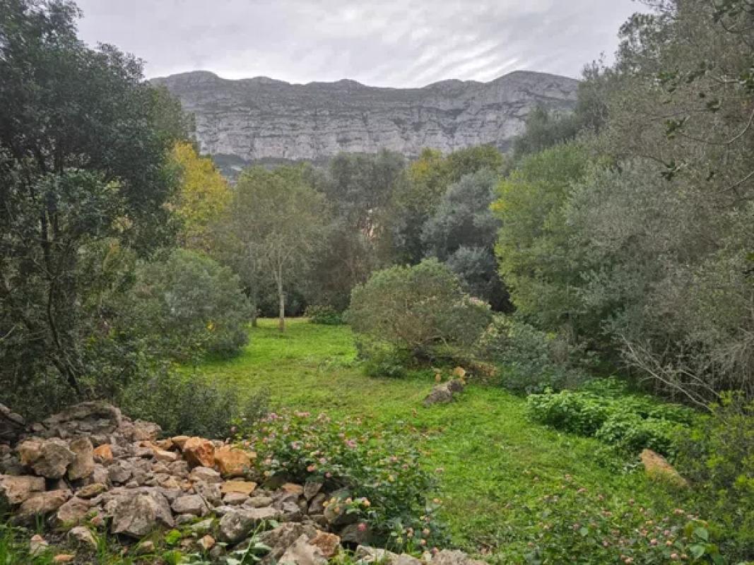 Terreno en venta en Denia, Alicante photo 5