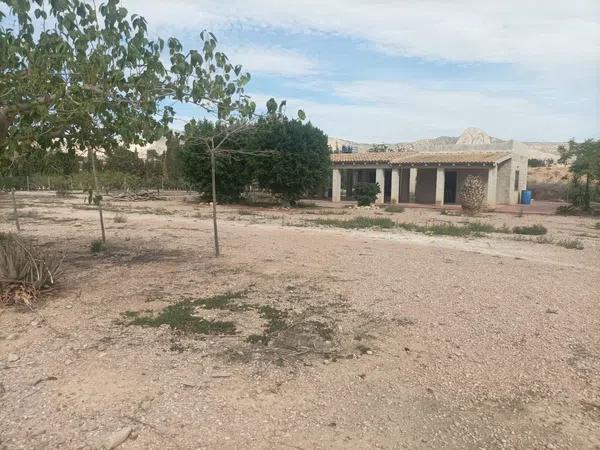 Terreno en La Murada-Los Vicentes photo 1