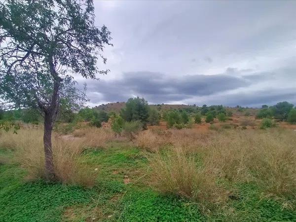 Terreno en villajoyosa photo 2