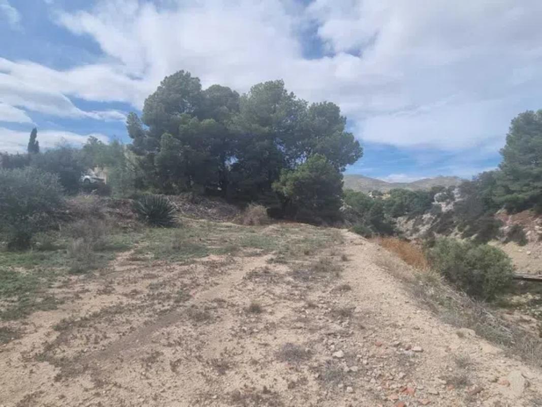 Terreno en venta en Alicante / Alacant, Alicante photo 3