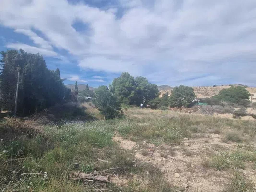 Terreno en venta en Alicante / Alacant, Alicante photo 5
