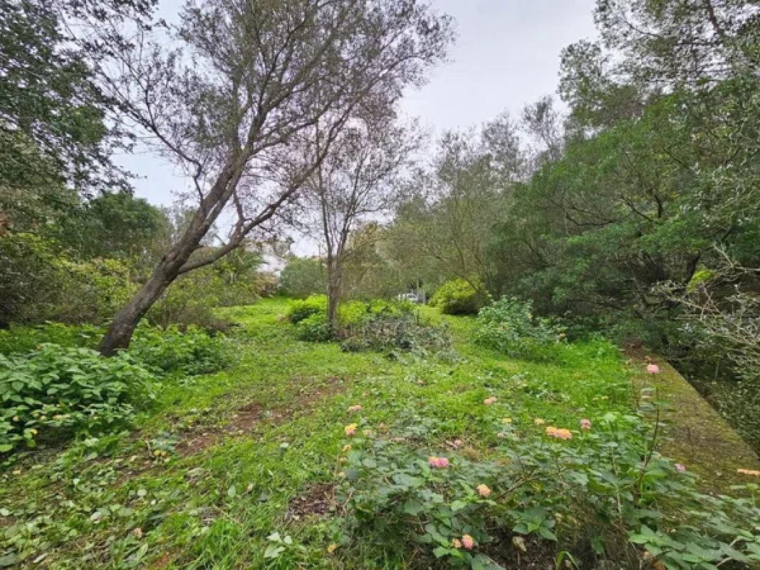 Terreno en venta en Denia, Alicante photo 1