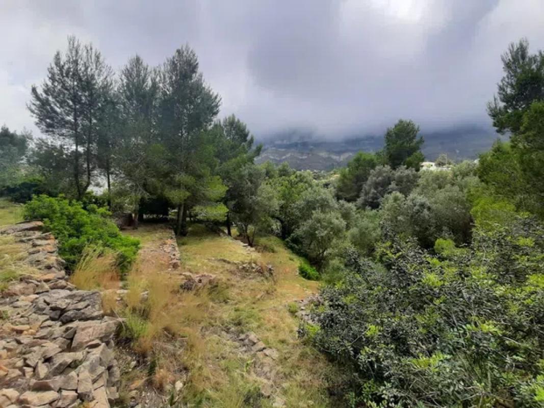 Terreno en venta en Denia, Alicante photo 3