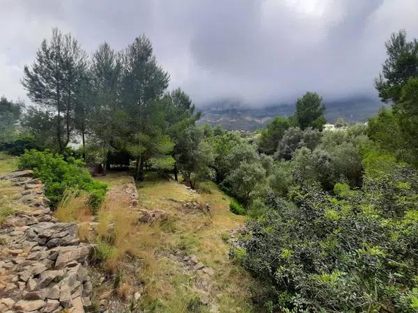 Terreno en El Montgó photo 3
