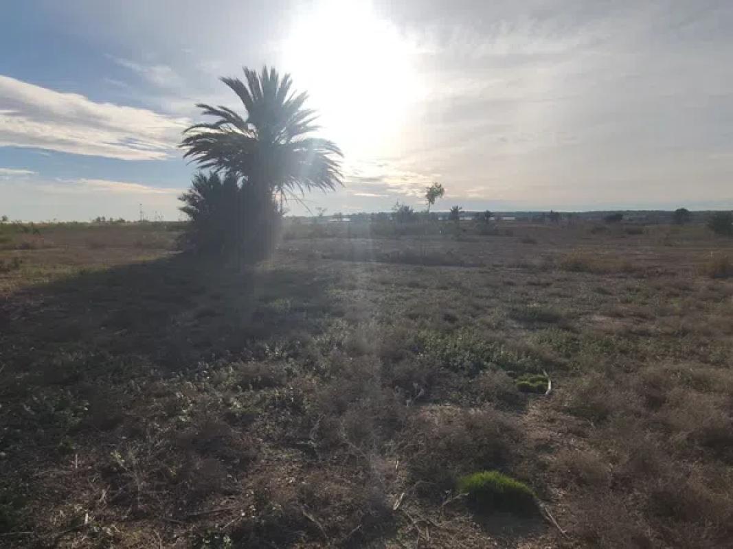Działka na sprzedaż w Elche / Elx, Alicante photo 2