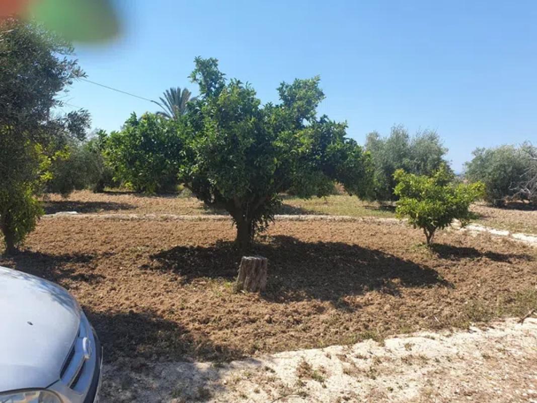Terreno en venta en La Villajoyosa / Vila Joiosa, Alicante photo 4