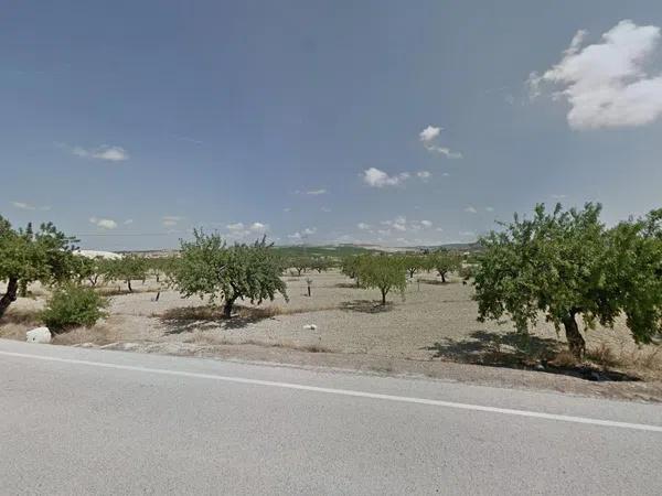 Terreno en Desamparados-Hurchillo-Torremendo photo 2