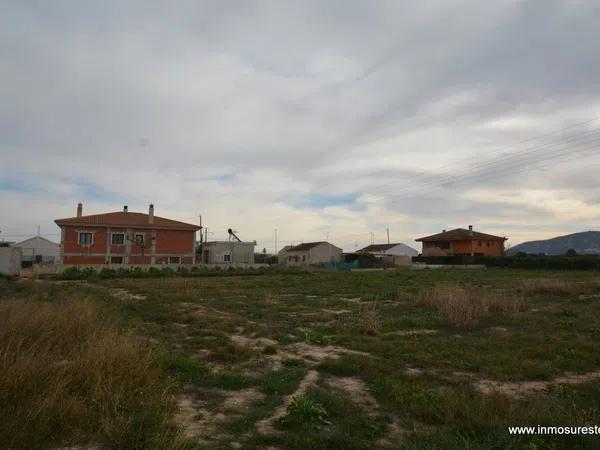 Terreno en Orihuela Ciudad photo 1
