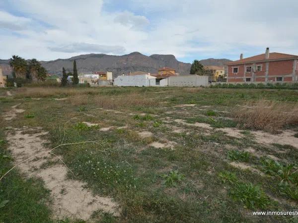 Terreno en Orihuela Ciudad photo 4