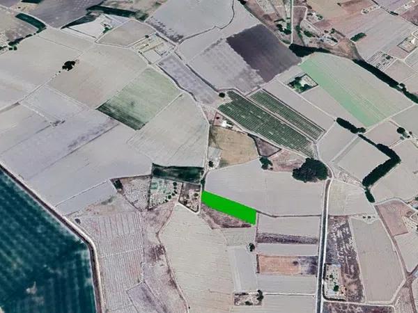 Terreno en Prolongación Elche photo 1