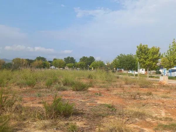 Terreno en Centro Ciudad photo 2