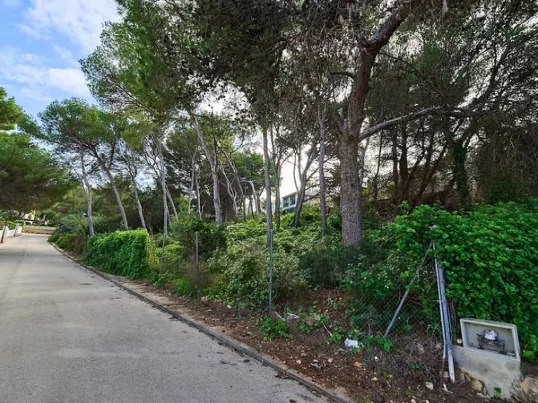Działka na sprzedaż w Dénia, Alicante photo 1