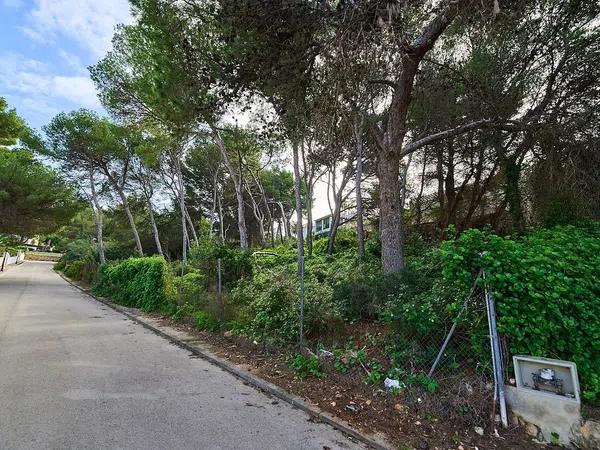 Terreno en calle de Ceres photo 1