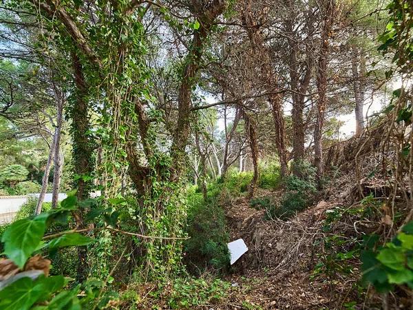 Terreno en calle de Ceres photo 2