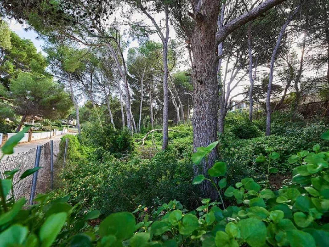 Działka na sprzedaż w Dénia, Alicante photo 3