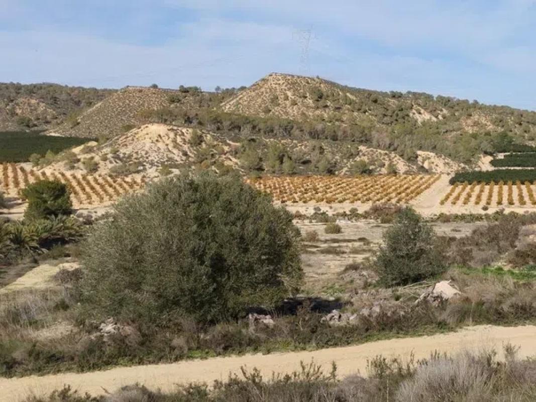Terreno en venta en Orihuela, Alicante photo 5
