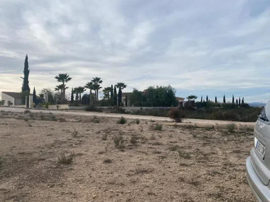 Działka na sprzedaż w Elche / Elx, Alicante photo 5