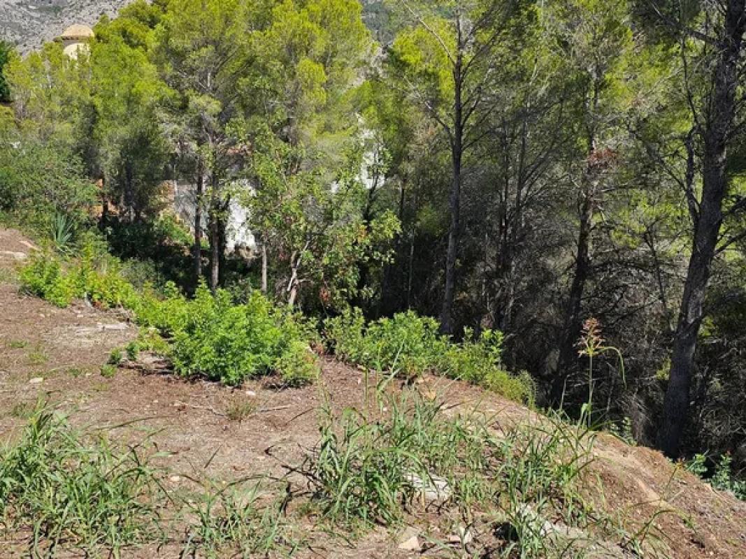 Terreno en venta en Altea, Alicante photo 2