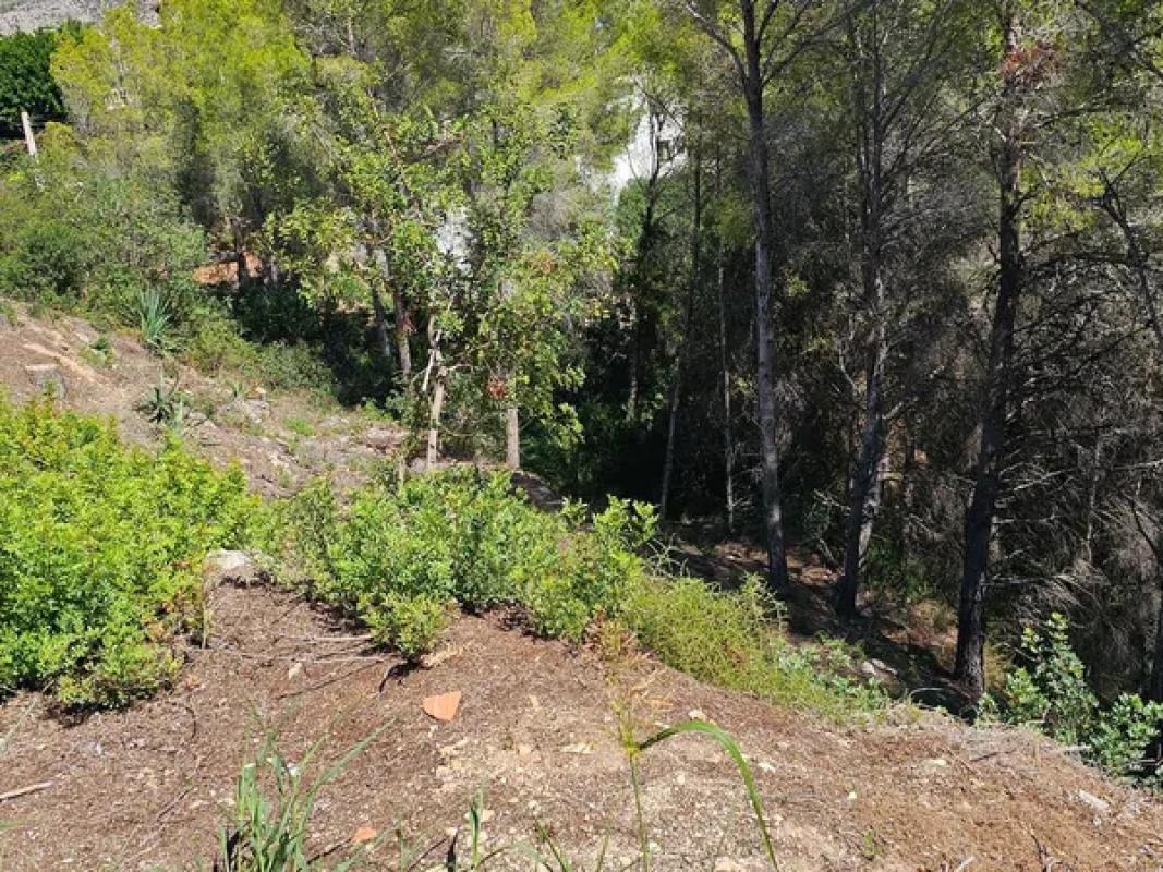 Terreno en venta en Altea, Alicante photo 4