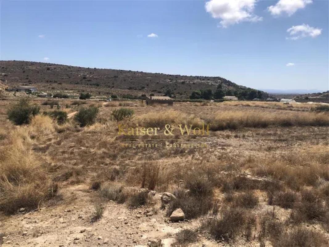 Участок земли на продажу в Эльче / Эльх, Аликанте photo 3