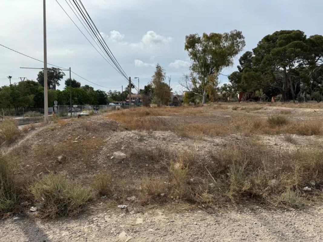 Terreno en venta en Mutxamel, Alicante photo 5