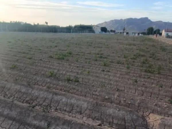 Terreno en Desamparados-Hurchillo-Torremendo photo 2