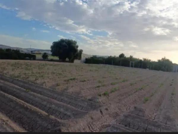 Terreno en Desamparados-Hurchillo-Torremendo photo 4