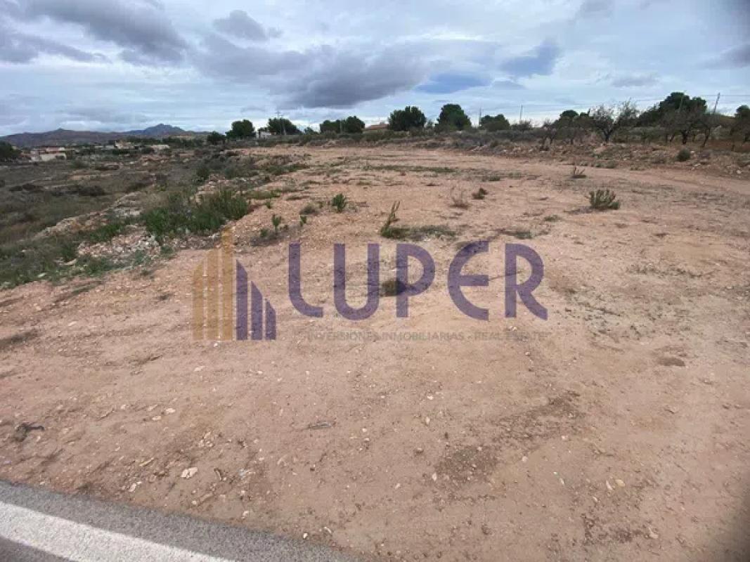 Terreno en venta en San Vicente del Raspeig, Alicante photo 3