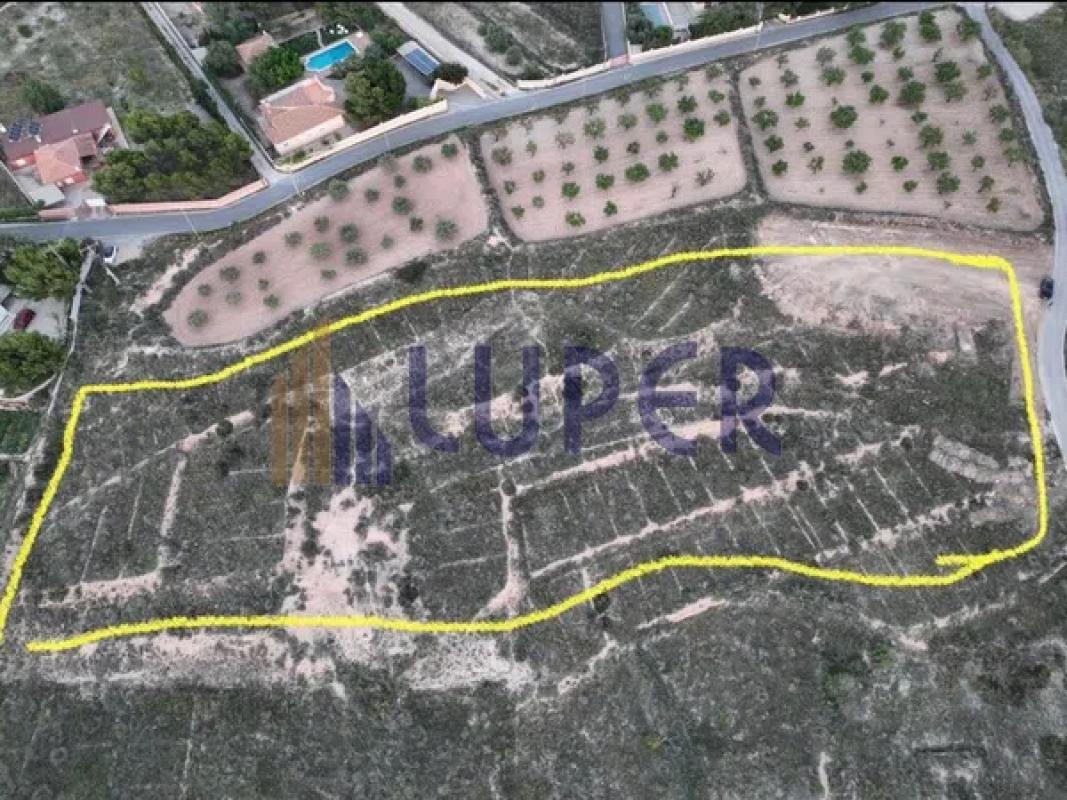 Terreno en venta en San Vicente del Raspeig, Alicante photo 4